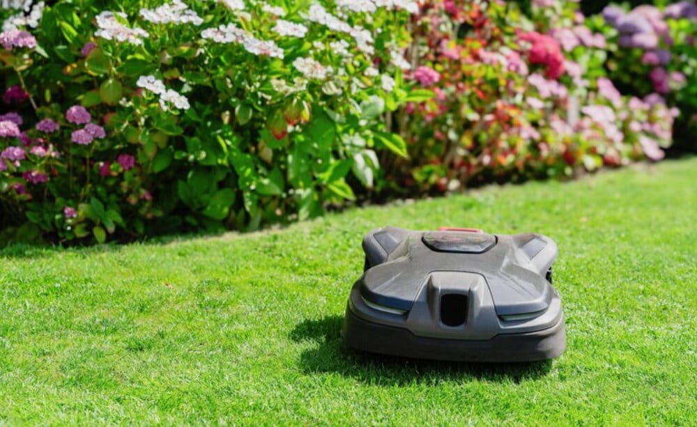 Pravilna namestitev robotske kosilnice. Koliko stane profesionalna namestitev?